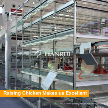 4 Tiers Automatic Manure Removing Battery Cages for Broilers